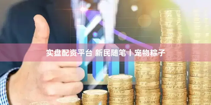 实盘配资平台 新民随笔丨宠物粽子