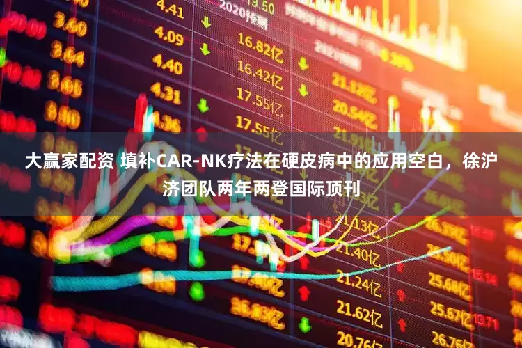 大赢家配资 填补CAR-NK疗法在硬皮病中的应用空白，徐沪济团队两年两登国际顶刊