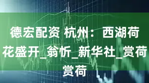 德宏配资 杭州：西湖荷花盛开_翁忻_新华社_赏荷