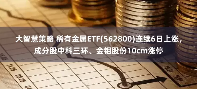 大智慧策略 稀有金属ETF(562800)连续6日上涨，成分股中科三环、金钼股份10cm涨停